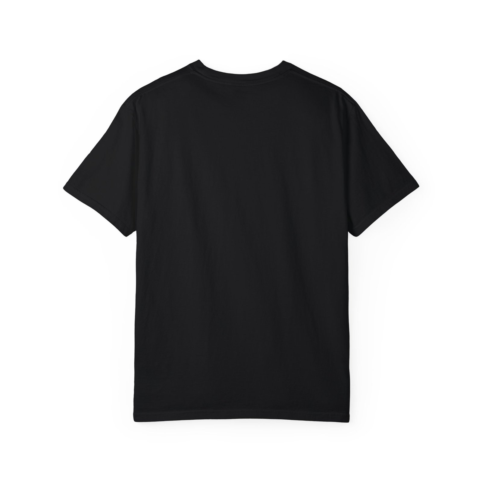 Wellness N³ - Black Unisex Garment-Dyed T-shirt - Image 2